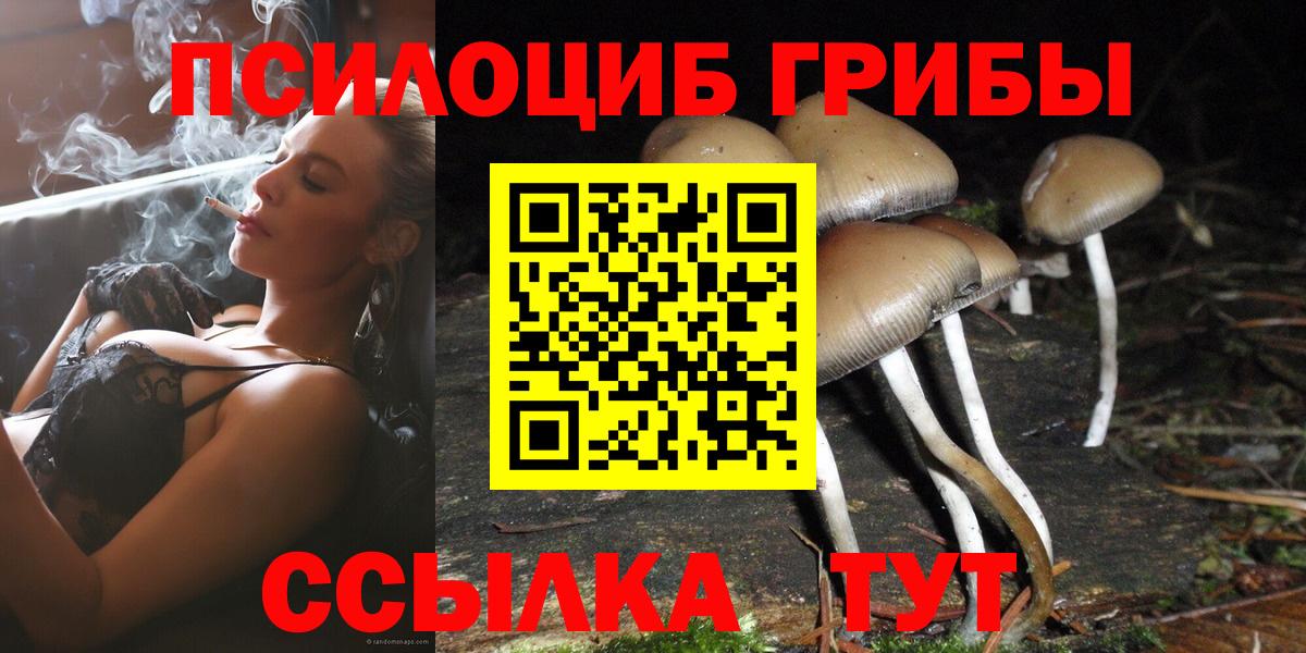 Галлюциногенные грибы прущие грибы Чебаркуль